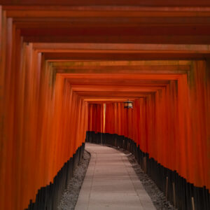 Picture of Vermillion Torii gates and a lantern at Fushimi Inari Taisha shrine in Kyoto, Japan