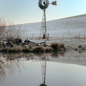 A photo of the morning from with a windmill reflecting in dam on a farm